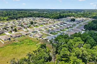 3886 SE 97th Ln, Belleview, FL 34420 - Photo 49