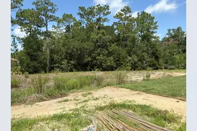 7722 SW 180th Circle, Dunnellon, FL 34432 - Photo 5