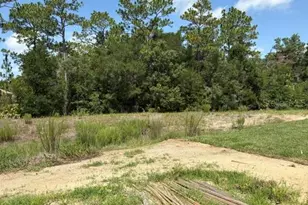 7722 SW 180th Cir, Dunnellon, FL 34432 - Photo 5