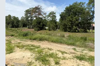 7722 SW 180th Circle, Dunnellon, FL 34432 - Photo 7