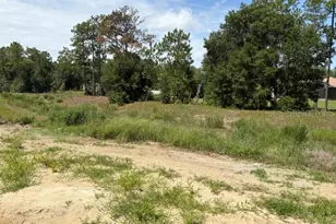 7722 SW 180th Cir, Dunnellon, FL 34432 - Photo 7