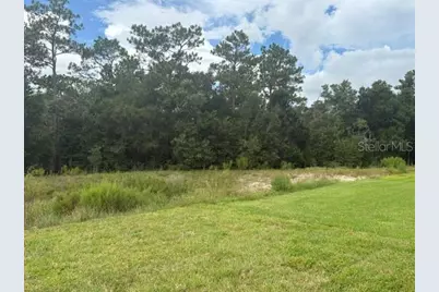 7722 SW 180th Circle, Dunnellon, FL 34432 - Photo 15