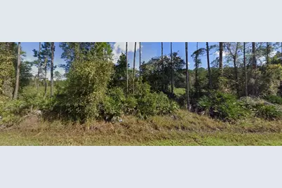 00 NE 64th Avenue, Citra, FL 32113 - Photo 3
