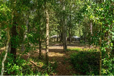 40 Deer Trail Circle, Bronson, FL 32621 - Photo 5