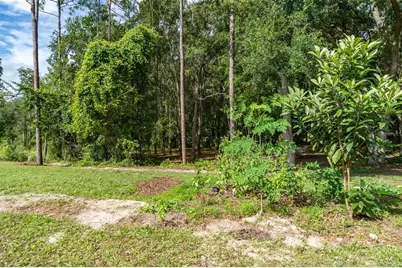 40 Deer Trail Circle, Bronson, FL 32621 - Photo 25