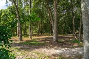 Deer Trail Circle, Bronson, FL 32621 - Photo 1