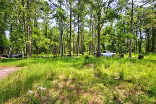 7320 NE 137th Pl, Citra, FL 32113 - Photo 7