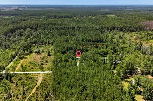 7320 NE 137th Pl, Citra, FL 32113 - Photo 11