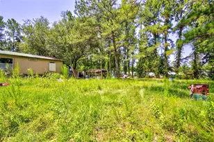 7320 NE 137th Pl, Citra, FL 32113 - Photo 5