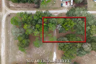 11235 SW 131 Terrace, Dunnellon, FL 34432 - Photo 49