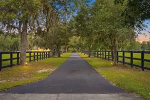 19950 SW 5th Pl, Dunnellon, FL 34431 - Photo 3