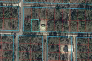Tbd NE 15th Ln, Williston, FL 32696 - Photo 1