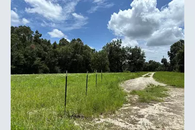 Ne 23, Citra, FL 32113 - Photo 3