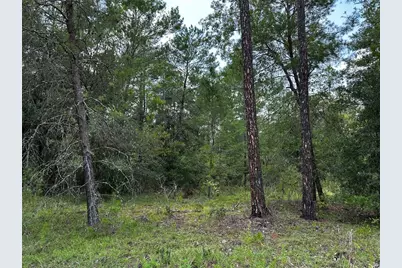 6270 NE 139th Avenue, Williston, FL 32696 - Photo 9