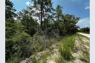 6270 NE 139th Avenue, Williston, FL 32696 - Photo 15