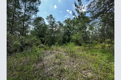 6270 NE 139th Avenue, Williston, FL 32696 - Photo 13