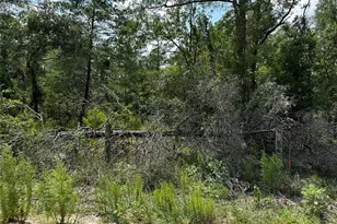 6270 NE 139 Ave, Williston, FL 32696 - Photo 1