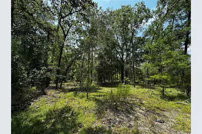 6270 NE 139th Avenue, Williston, FL 32696 - Photo 3