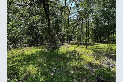 6270 NE 139th Avenue, Williston, FL 32696 - Photo 5