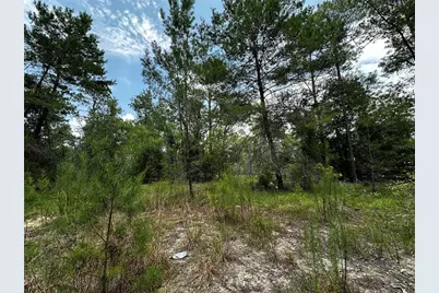 6270 NE 139th Avenue, Williston, FL 32696 - Photo 7