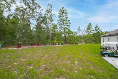 11 Fringetree Court, Homosassa, FL 34446 - Photo 39