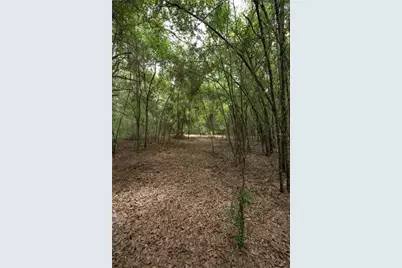 Tbd SE 55th Street, Morriston, FL 32668 - Photo 9