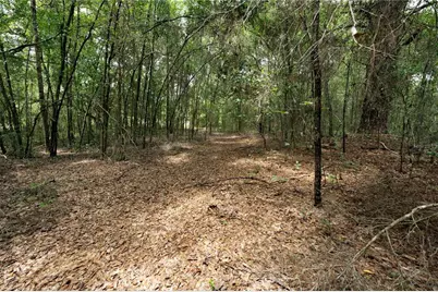 Tbd SE 55th Street, Morriston, FL 32668 - Photo 7