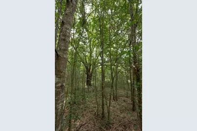 Tbd SE 55th Street, Morriston, FL 32668 - Photo 11