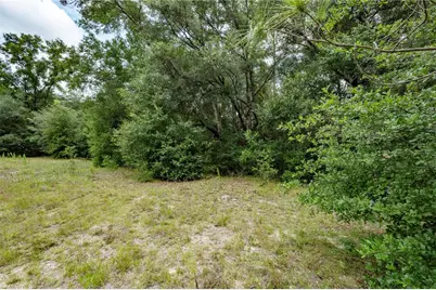 Tbd SE 55th Street, Morriston, FL 32668 - Photo 5