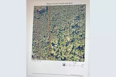0 NE 132nd Pl, Citra, FL 32113 - Photo 5