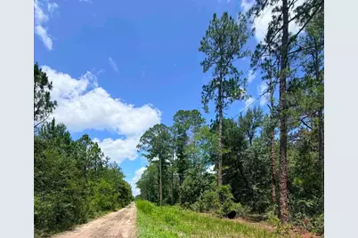 0 NE 132nd Pl, Citra, FL 32113 - Photo 3