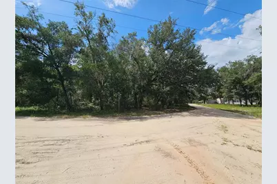 Se 171st Lane, Weirsdale, FL 32195 - Photo 3