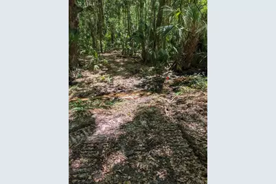 0 NW 202nd Place, Mc Intosh, FL 32664 - Photo 5