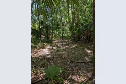 0 NW 202nd Place, Mc Intosh, FL 32664 - Photo 3