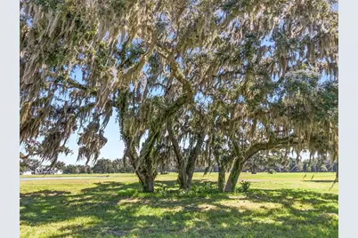 Tbd (Lot 14-W) SW 138th Loop, Dunnellon, FL 34432 - Photo 27