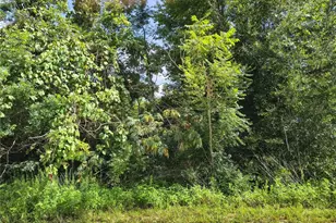 Tbd NW 6th Pl, Ocala, FL 34482 - Photo 1