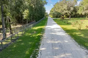 18251 NW 141st Ave, Williston, FL 32696 - Photo 83
