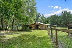 18251 NW 141st Ave, Williston, FL 32696 - Photo 53