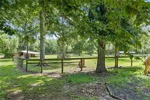 18251 NW 141st Ave, Williston, FL 32696 - Photo 73