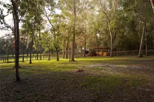 18251 NW 141st Ave, Williston, FL 32696 - Photo 79