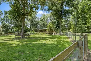 18251 NW 141st Ave, Williston, FL 32696 - Photo 37