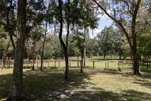 18251 NW 141st Ave, Williston, FL 32696 - Photo 71