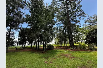 13730 SE 20th Street, Morriston, FL 32668 - Photo 5