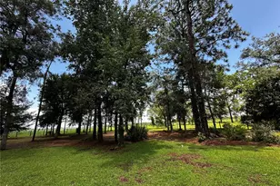 13730 SE 20 St, Morriston, FL 32668 - Photo 5