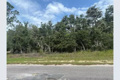 0000 Malauka Place, Ocklawaha, FL 32179 - Photo 3