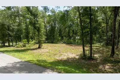 000 NE 155th Court, Williston, FL 32696 - Photo 3