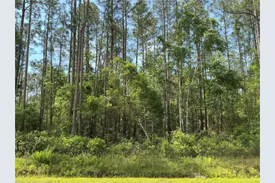 4425 Joyce Street, Hastings, FL 32145 - Photo 1