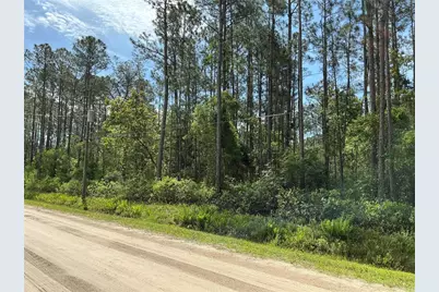 4425 Joyce Street, Hastings, FL 32145 - Photo 3