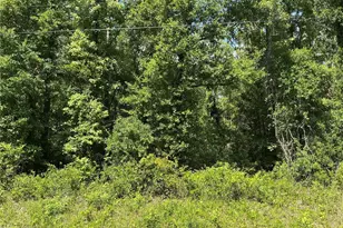 10135 McMahon Ave, Hastings, FL 32145 - Photo 1