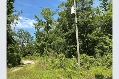 10135 McMahon Avenue, Hastings, FL 32145 - Photo 5